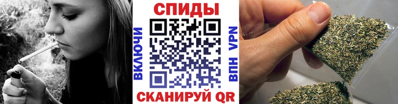 Купить где  Волгореченск  БУТИРАТ буратино 