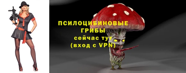 mdma Заводоуковск
