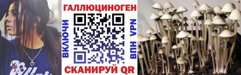 Псилоцибиновые грибы мицелий  Купить  Волгореченск 