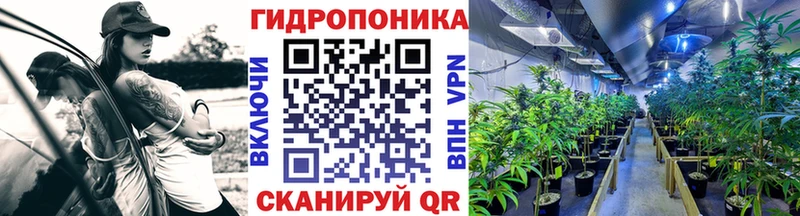 Конопля MAZAR  Купить закладки  Волгореченск 